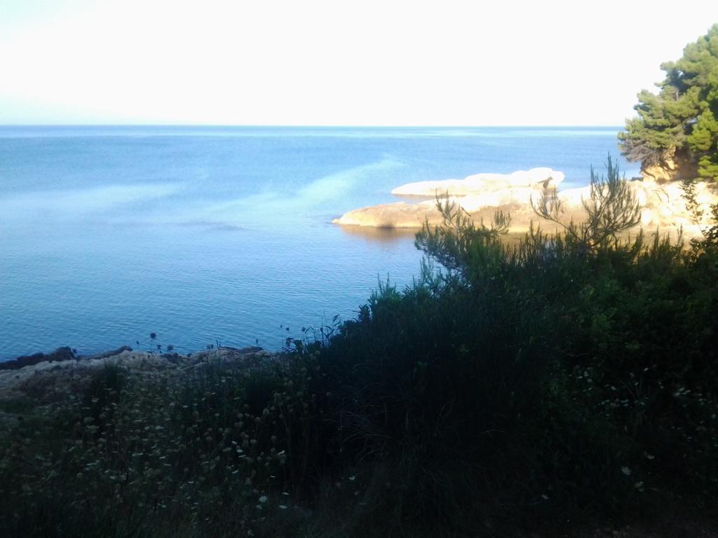Guest House Aldin Ulcinj Exterior foto